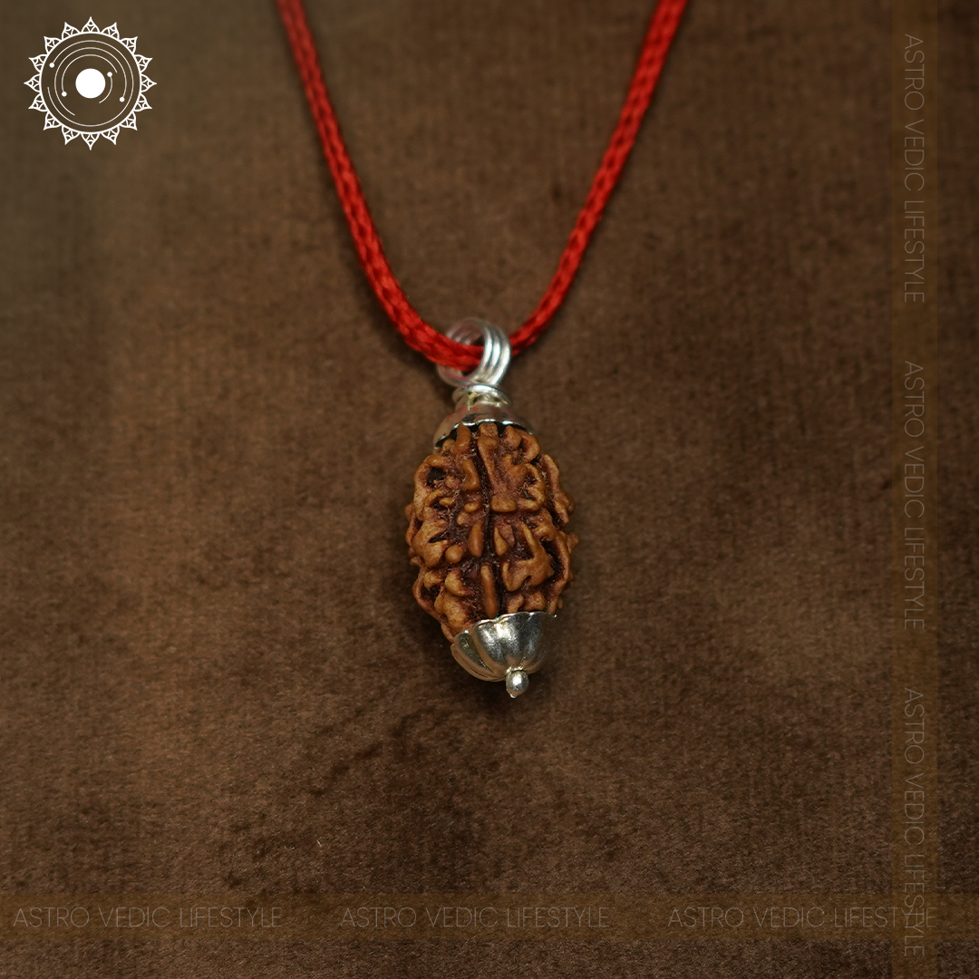 3 Mukhi Rudraksha