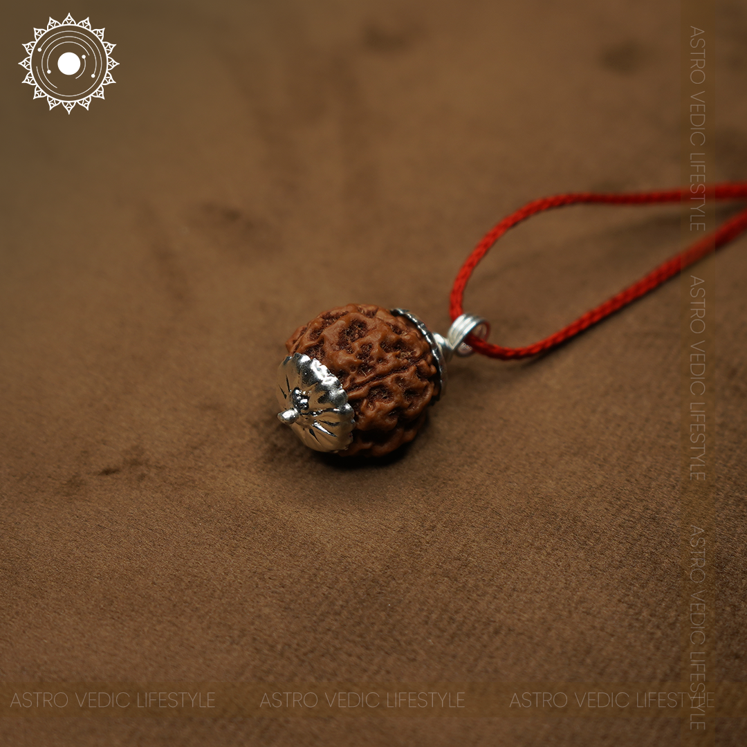 4 Mukhi Rudraksha