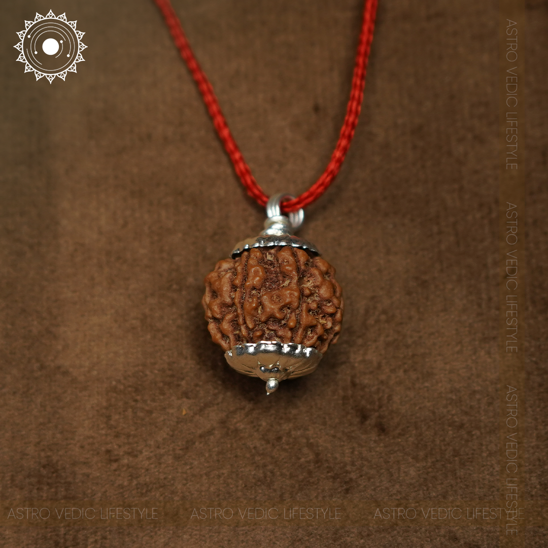 5 Mukhi Rudraksha