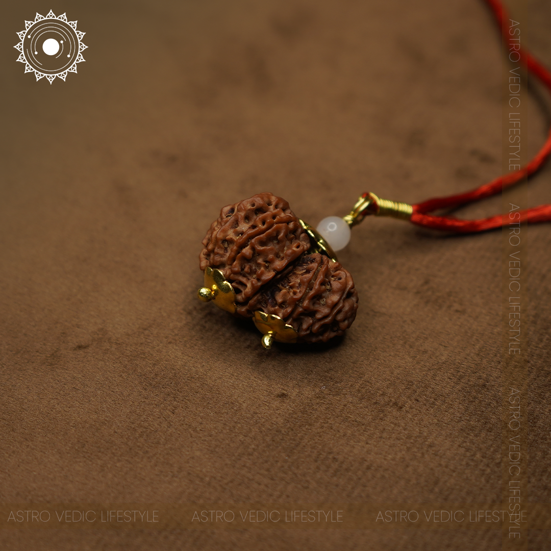 Gauri Shankar Rudraksha